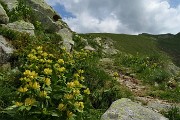 PIZZO ZERNA (2572 m) dalla Valsambuzza con Laghettii di Caldirolo il 24 luglio 2016  - FOTOGALLERY